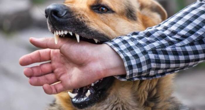 Strict Liability NJ - Dog Bite Lawsuits in New Jersey