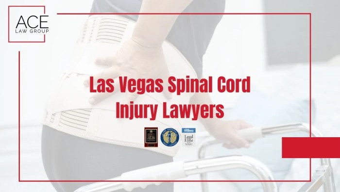 Las Vegas Spine Injury Lawyer - (702) 960-4050 - The Schnitzer Law Firm